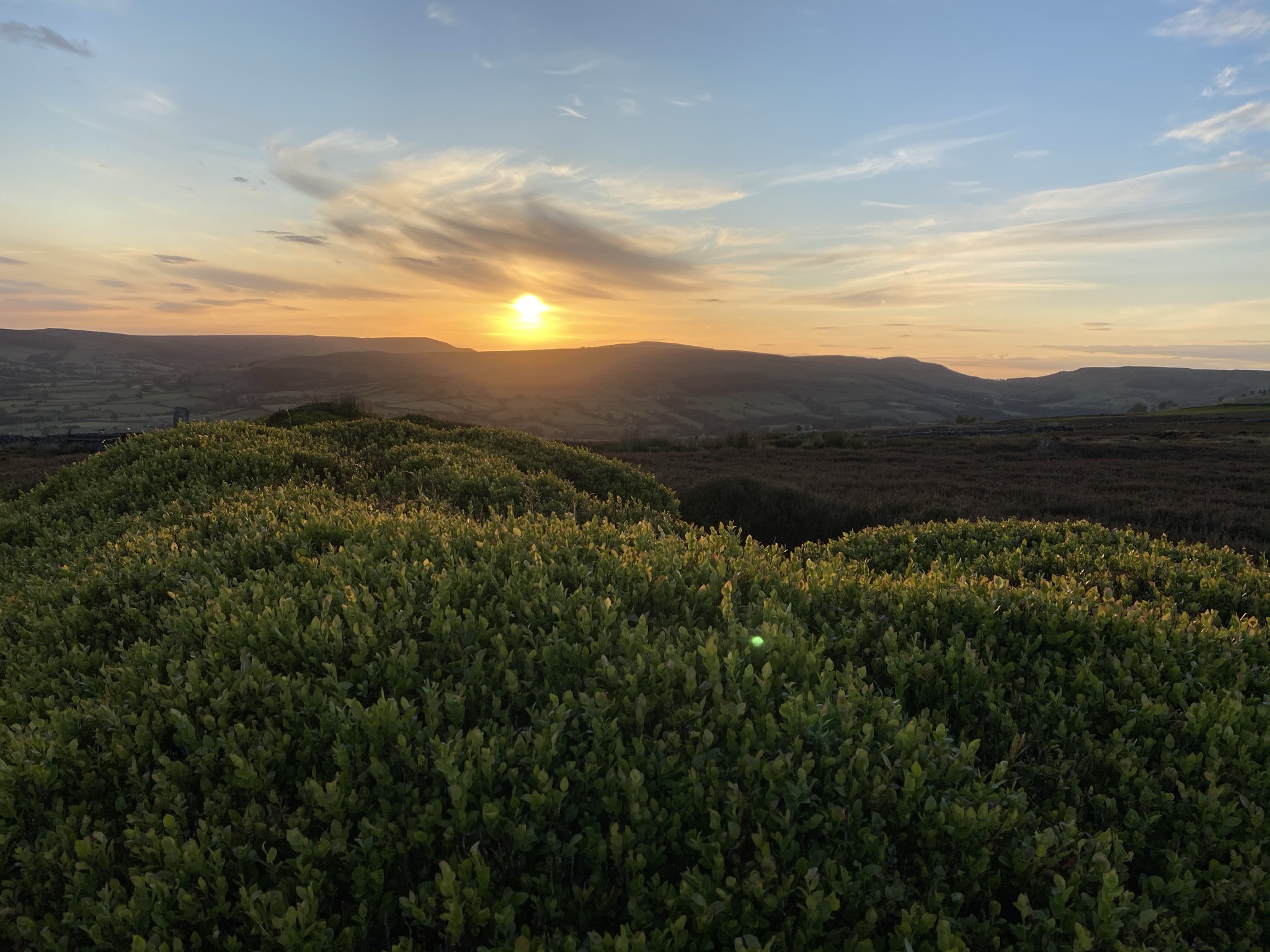 Looking across Bilsdale from Urra